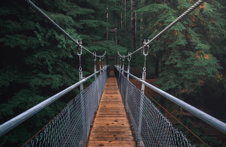 Bridge Bridge